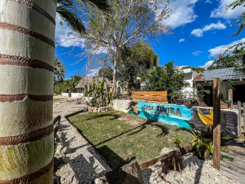 a palm tree next to a pool in a yard at Casa Elvira Hostal in Buenavista