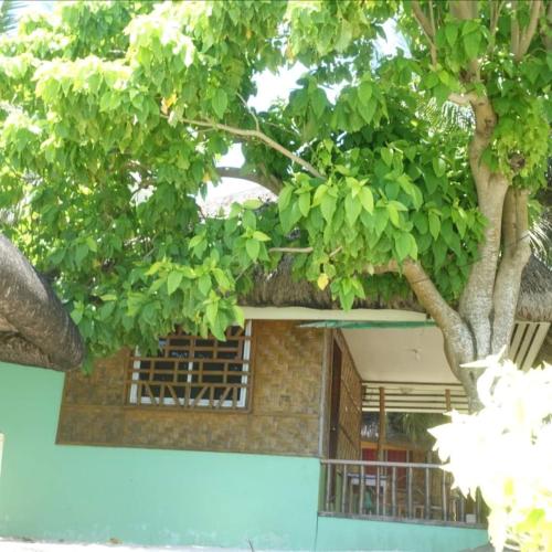 a tree in front of a building with a window at Coolis beach in Masbate