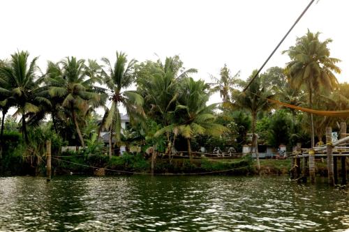 a boat on a river with palm trees in the background at Heaven's homestay in Parūr