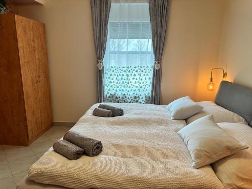 a bedroom with two beds with pillows and a window at Brauner Bär in Altenberg