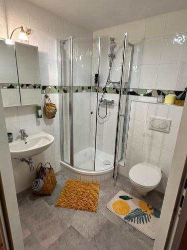 ein Bad mit einer Dusche, einem WC und einem Waschbecken in der Unterkunft Brauner Bär in Altenberg