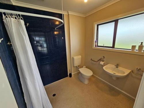 a bathroom with a shower and a toilet and a sink at Catlins area accommodation in Owaka
