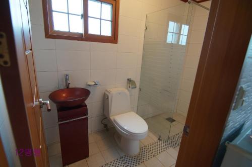a bathroom with a toilet and a sink and a shower at Yerae Pension in Seogwipo