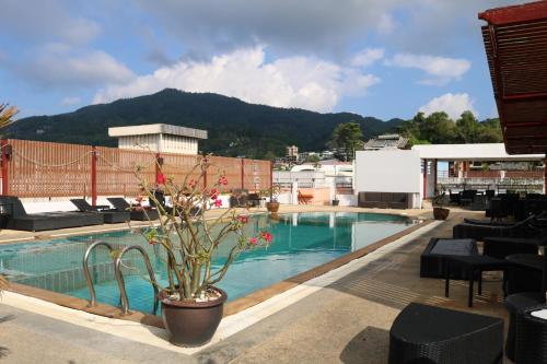 a swimming pool with a potted plant on top of a building at Diamond Crown in Patong Beach
