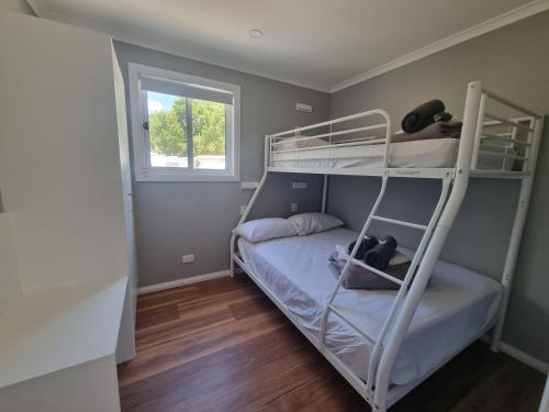 a bedroom with a bunk bed and a window at Gulgong Tourist Park in Gulgong