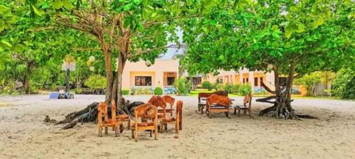 a group of chairs sitting under a tree at CRISOLS BEACH RESORT - MALAPASCUA ISLAND in Daanbantayan