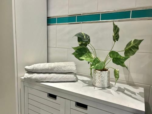 uma planta em vaso sentada num balcão na casa de banho em Spacious and Bright Apartment em Londres