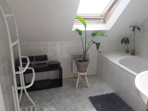 La salle de bains est pourvue d'un lavabo et d'une baignoire avec une plante. dans l'établissement maison à 5 min de la plage, à l'Île-Tudy