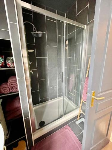 une douche avec une porte vitrée dans une salle de bain dans l'établissement Bon'Appart centre-ville charme, à Fontainebleau