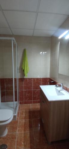 een badkamer met een toilet, een wastafel en een douche bij Estudio en Envía Golf Bello Rincón Paz y Vistas in Vícar