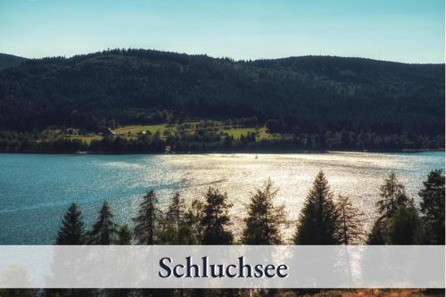 Gallery image of Apartment Seelenruhe Schluchsee 1 in Schluchsee