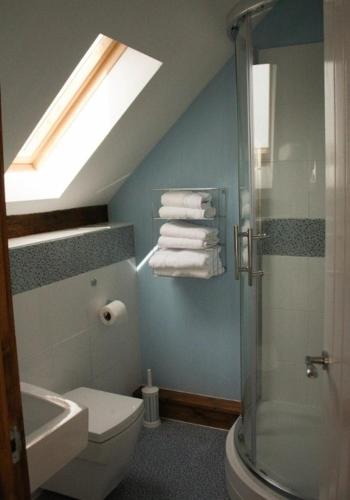 a bathroom with a shower and a toilet and a skylight at The Hayloft at Carpenters Farm in Colchester