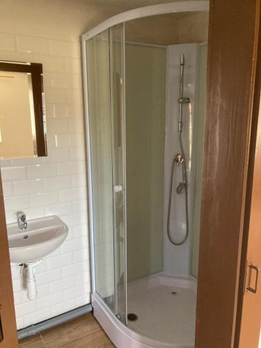a bathroom with a shower and a sink at Zoopark Chomutov in Chomutov