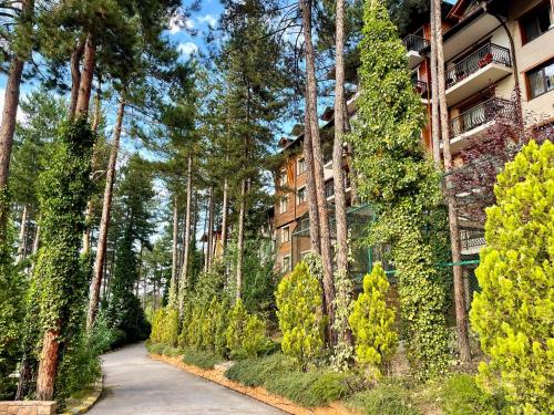 Zahrada ubytování Апартамент Веирас