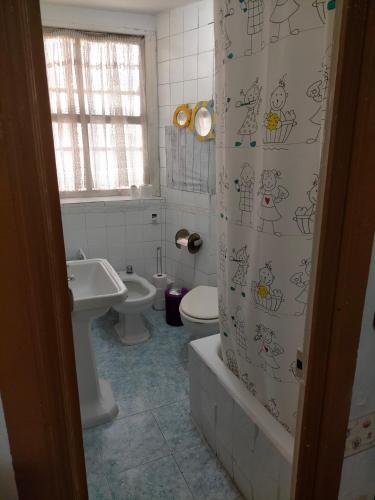 a bathroom with a toilet and a shower curtain at Apartamento Casco Viejo in Ourense