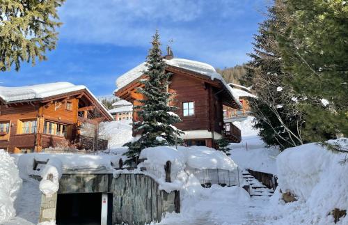 a log cabin in the snow with a christmas tree at Chalet Cirmolo in Livigno