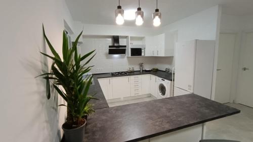 a kitchen with white cabinets and a potted plant at FUENGIROLA CENTRO in Fuengirola