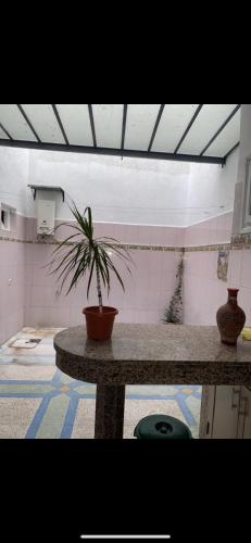 uma planta num vaso sentado numa mesa numa sala em Appartement à 8 mn de mehdia plage em Kenitra