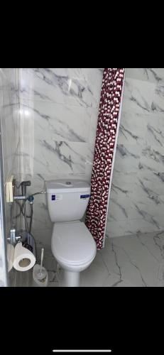 a bathroom with a toilet and a shower curtain at Appartement à 8 mn de mehdia plage in Kenitra