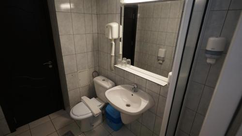 a small bathroom with a sink and a toilet at Vila Trandafirul si Liliacul in Căciulata