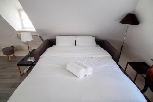 ein großes weißes Bett mit zwei weißen Kissen darauf in der Unterkunft 8 rue de l'Argile - Studio climatisé in Straßburg