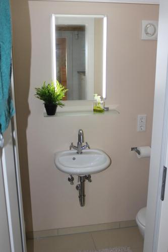 a bathroom with a sink and a mirror at Blockhouse Nicks Lodge in Hatten