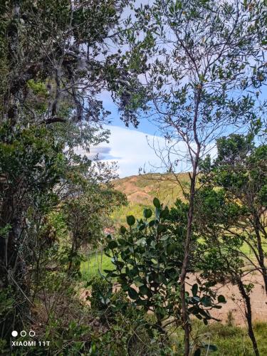 a view of a hill through the trees at Casa Campestre Buenavista, espacio natural in Ráquira