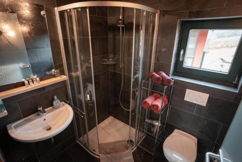 a bathroom with a shower and a sink at Stilvolles Chalet mit hauseigener Sauna & Whirlwanne in Viechtach