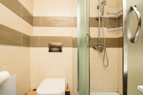 a bathroom with a toilet and a shower at Casa Del Mare Sea View House up to 6 guests in Mandrakion