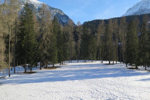 a snow covered field with trees and a mountain at Apartment Scuol in Scuol