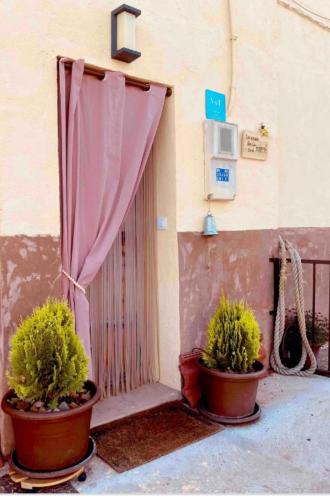 two potted plants sitting in front of a building at Casa De La Era in Cuevas de Ayllón