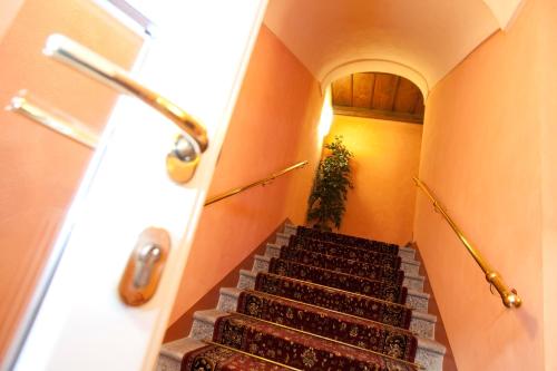 a staircase in a building with a potted plant at Hotel Palazzo Di Mezzo in Carrù