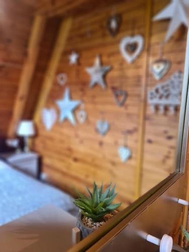 a wall with stars and a plant in a room at Snowdonia View@puffin Lodges in Chwilog