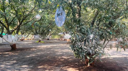 a tree with a street sign hanging from it at Brook Ville in Sasan Gir