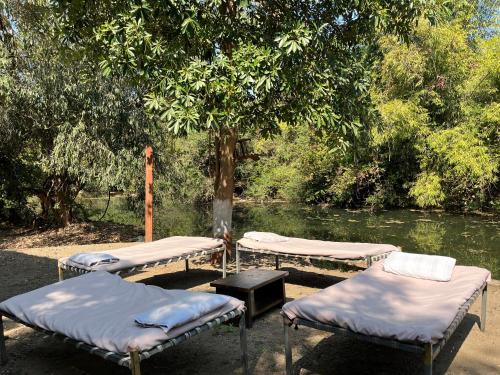 a group of three beds sitting next to a lake at Brook Ville in Sasan Gir