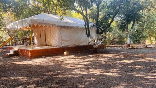 a tent with a table and a chair in a field at Brook Ville in Sasan Gir