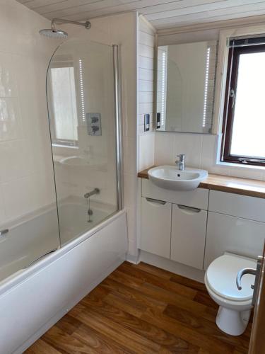 a bathroom with a shower and a sink and a toilet at Hazel Lodge luxury log cabin in South Wingfield