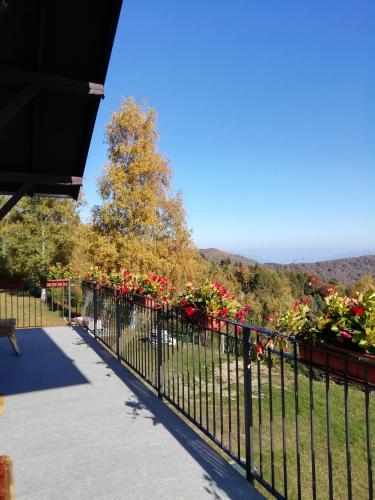 a black fence with red flowers in a garden at Baita Mael in Armeno