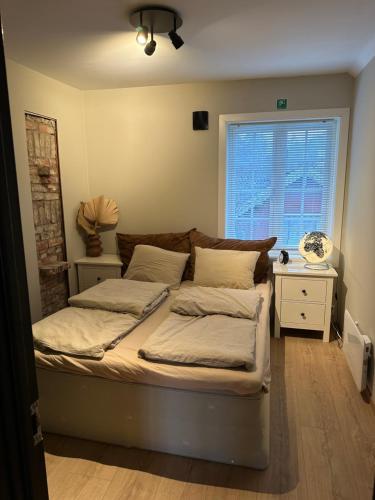 sypialnia z 2 łóżkami i oknem w obiekcie Nice apartment close to the sea with parking and garden w mieście Arendal