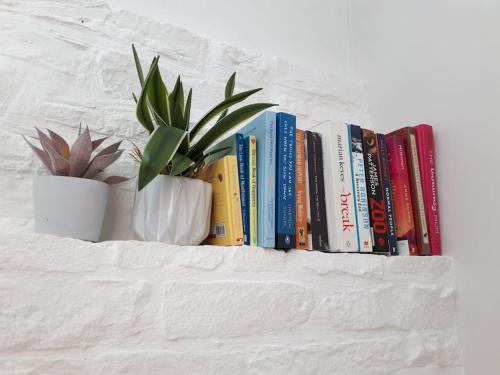 a bunch of books on a shelf with a potted plant at Guest Homes - Clara Cottage in Bretforton