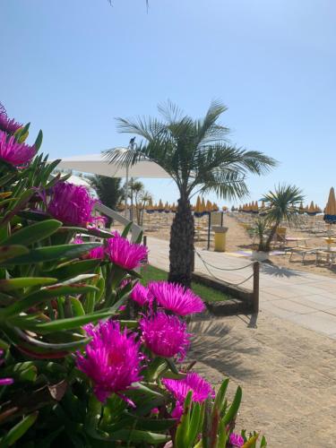 Ein paar lila Blumen vor einer Palme in der Unterkunft Hotel Nizza Frontemare Superior 3 Stelle in Lido di Jesolo