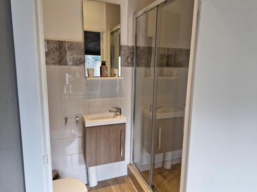 a bathroom with a shower and a sink at Villa Insulinde in Scheveningen