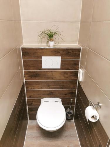 a bathroom with a toilet with a plant above it at Speedys Bed & Breakfast in Reimerath