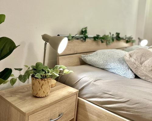 a bedroom with a bed with a night stand with a plant at Apartment Simona - Old Town in Bratislava