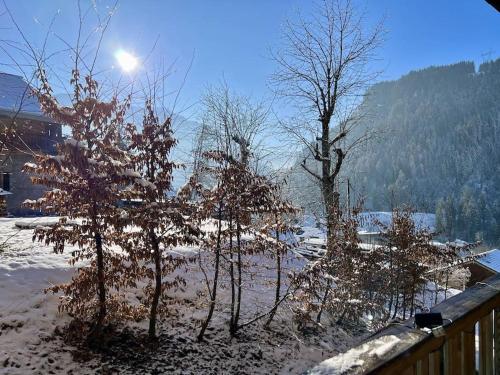 Loges Blanches B201 - Bo Immobilier - Châtel - Multipass été 2025 offert