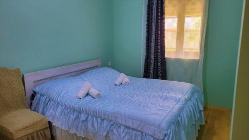 Gallery image of Rita Gujejiani Guest House in Katskhi