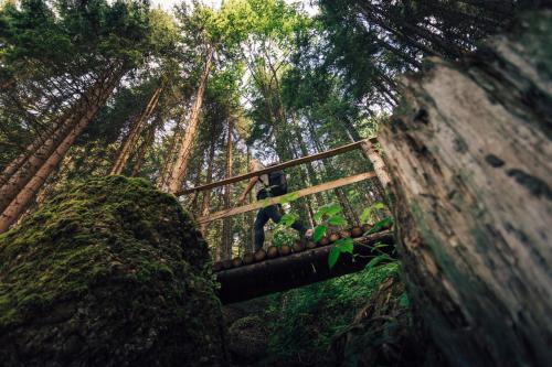 a person on a wooden bridge in a forest at Torghele's Wald & Fluh in Balderschwang