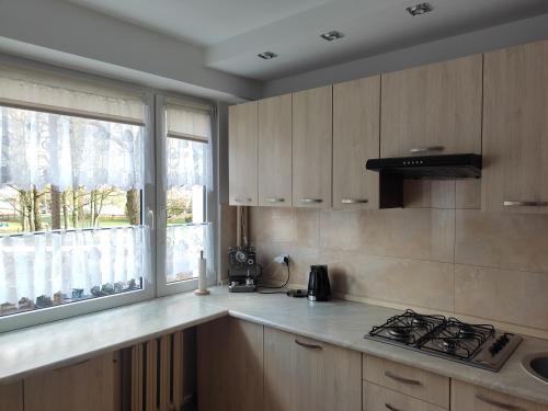 奧爾什丁的住宿－Apartament Familijny，厨房配有木制橱柜、水槽和窗户。