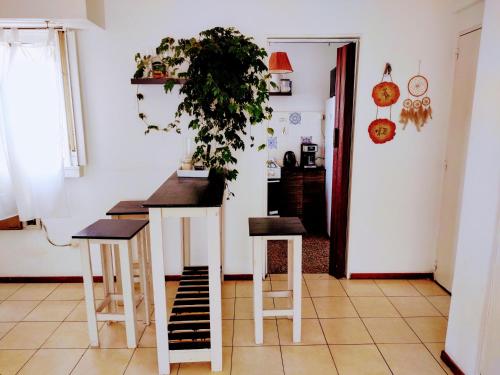 una cocina con una mesa con dos taburetes y una planta en Estudio Atelier Caballito en Buenos Aires
