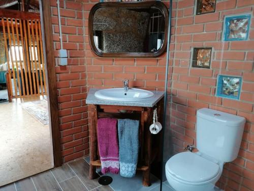 ceglana łazienka z umywalką i toaletą w obiekcie Country House - Hippie Garden w mieście Vieira do Minho